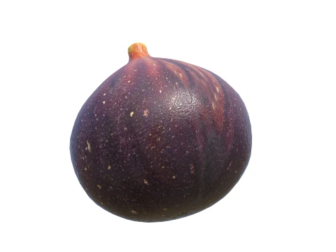 Fig Fruit 3D Model
