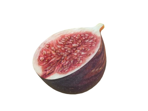 Fig Fruit 3D Model
