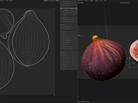 Fig Fruit 3D Model