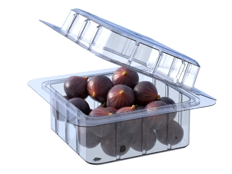 Fig Fruit Box Plastic Transparent 3D Model