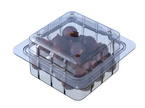 Fig Fruit Box Plastic Transparent 3D Model