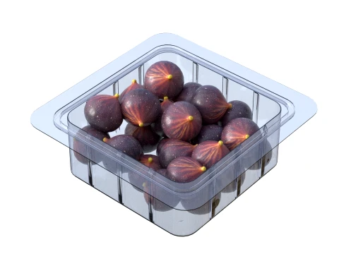 Fig Fruit Box Plastic Transparent 3D Model