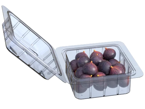 Fig Fruit Box Plastic Transparent 3D Model