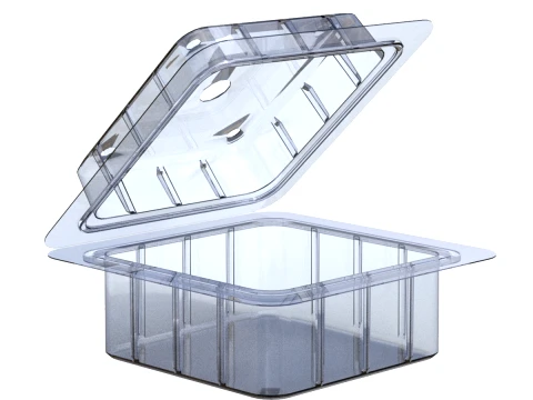 Fruit Box Plastic Transparent 3D Model