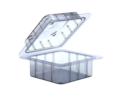 Fruit Box Plastic Transparent 3D Model