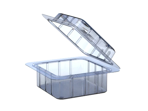 Fruit Box Plastic Transparent 3D Model