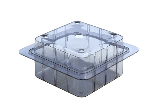 Fruit Box Plastic Transparent 3D Model