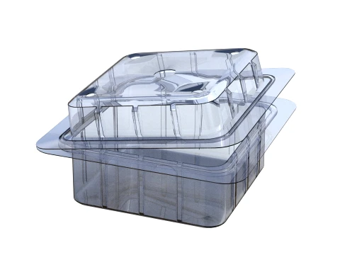 Fruit Box Plastic Transparent 3D Model