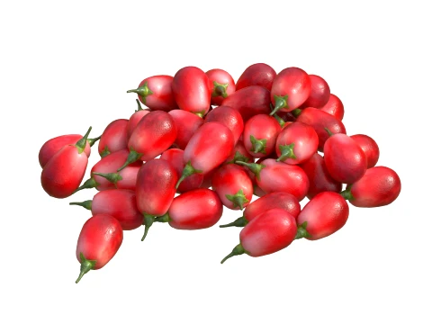 Goji berry Fruit 3D Model