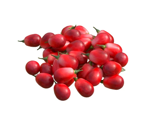 Goji berry Fruit 3D Model