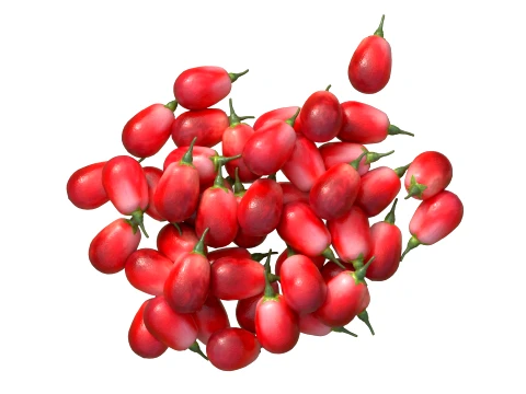 Goji berry Fruit 3D Model