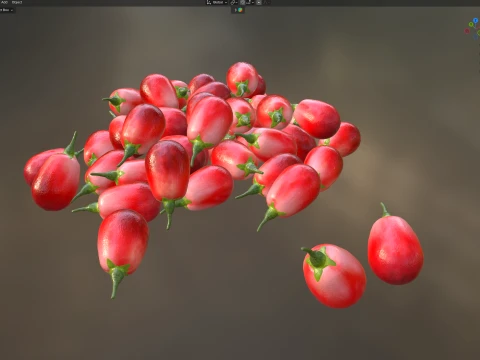 Goji berry Fruit 3D Model