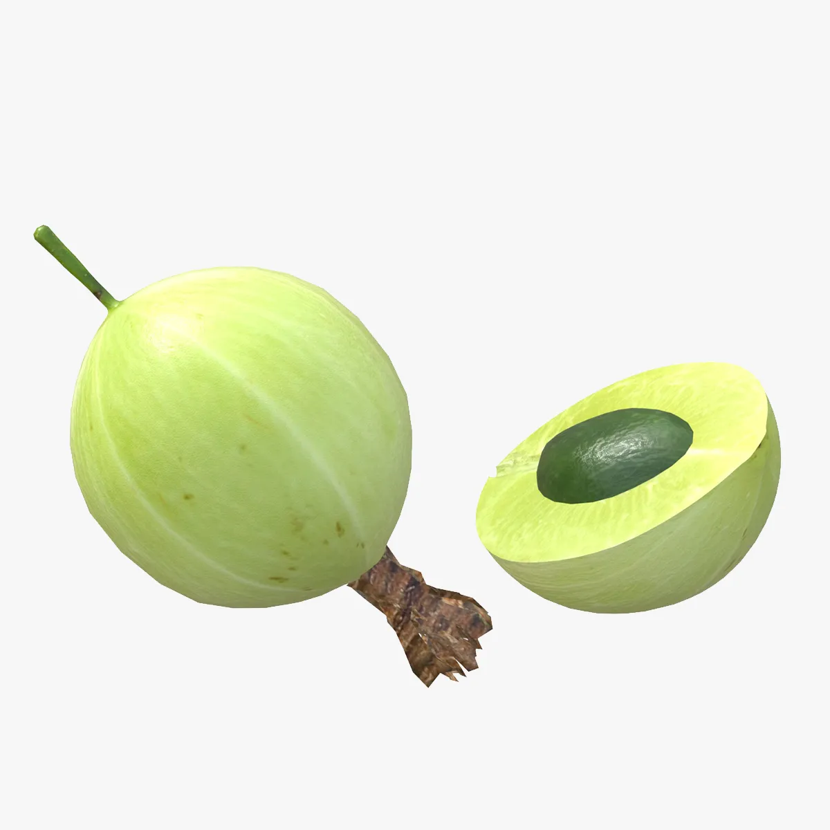 Gooseberry Fruit 3D Model .c4d .max .obj .3ds .fbx .stl .blend 