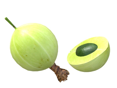 Gooseberry Fruit 3D Model