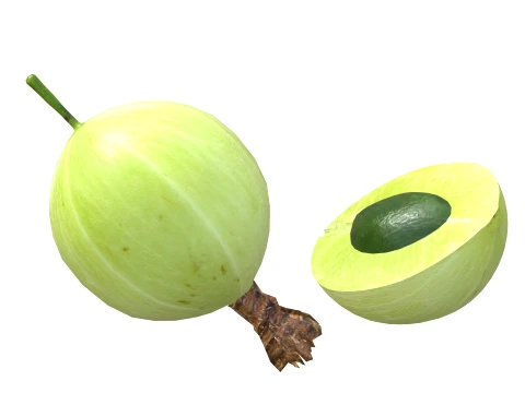 Gooseberry Fruit 3D Model