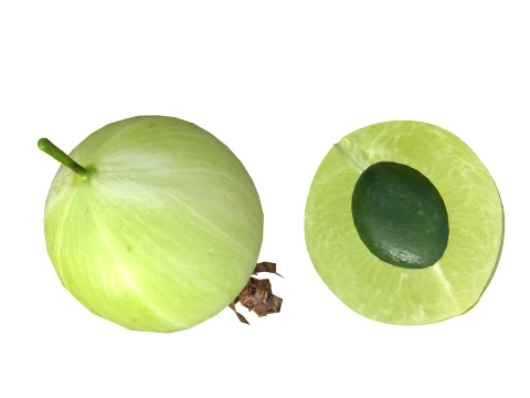 Gooseberry Fruit 3D Model