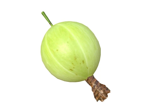 Gooseberry Fruit 3D Model