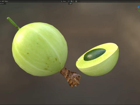 Gooseberry Fruit 3D Model
