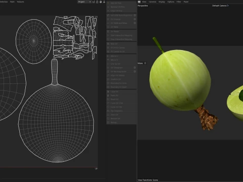 Gooseberry Fruit 3D Model