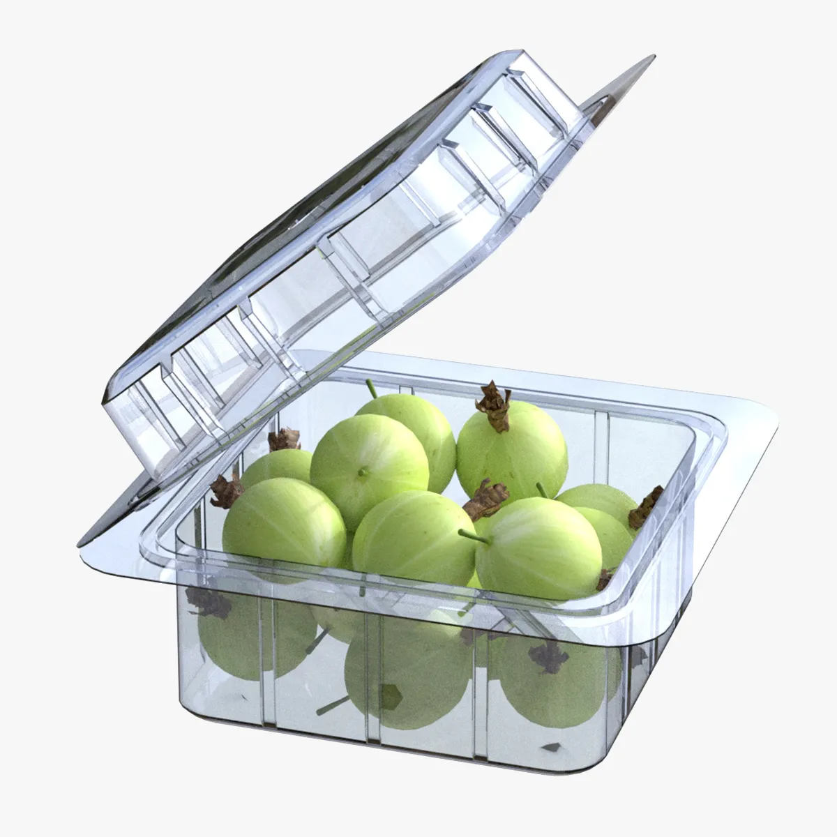 Gooseberry Fruit Box Plastic Transparent 3D Model .c4d .max .obj .3ds .fbx .stl .blend