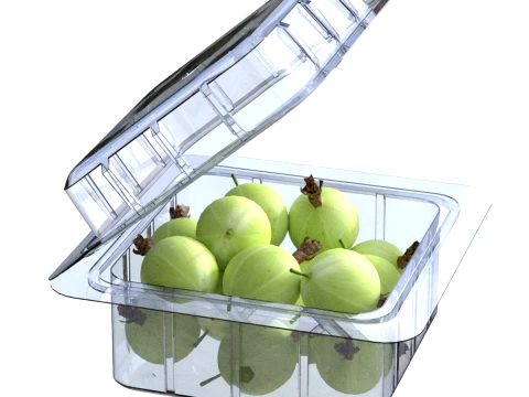 Gooseberry Fruit Box Plastic Transparent 3D Model