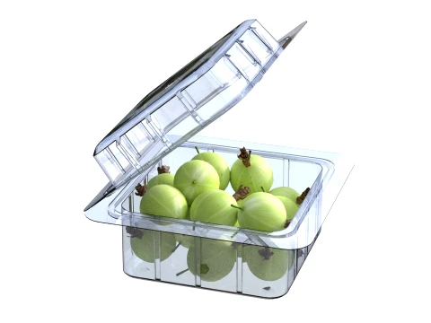 Gooseberry Fruit Box Plastic Transparent 3D Model