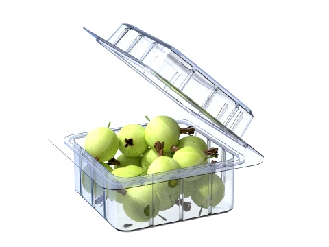 Gooseberry Fruit Box Plastic Transparent 3D Model