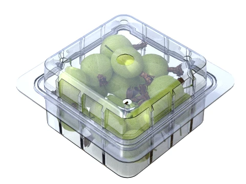 Gooseberry Fruit Box Plastic Transparent 3D Model