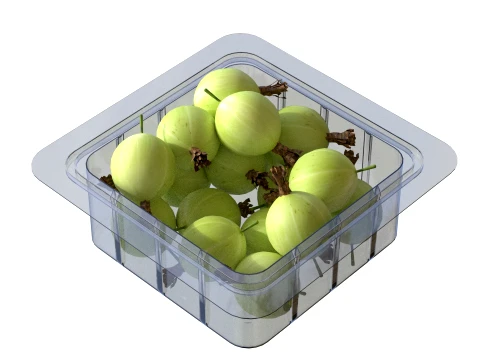 Gooseberry Fruit Box Plastic Transparent 3D Model