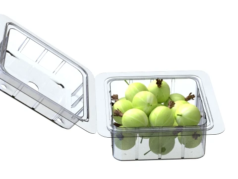 Gooseberry Fruit Box Plastic Transparent 3D Model