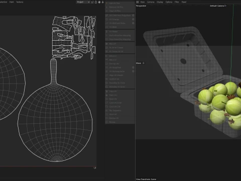 Gooseberry Fruit Box Plastic Transparent 3D Model