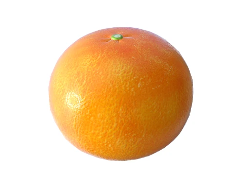 Grapefruit 3D Model