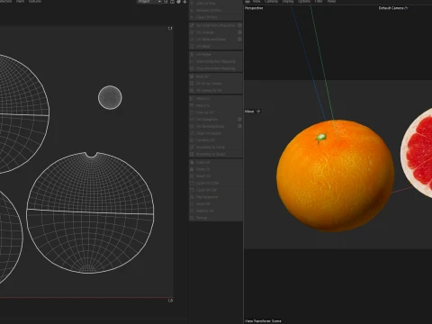 Grapefruit 3D Model