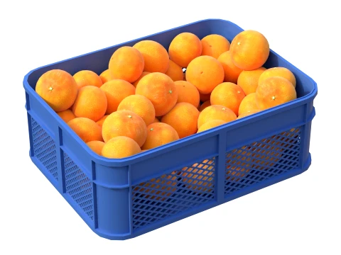 Grapefruit Plastic Crate 3D Model