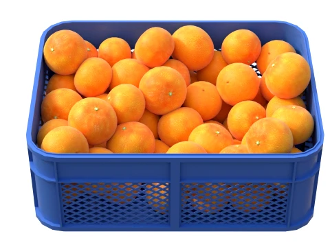 Grapefruit Plastic Crate 3D Model
