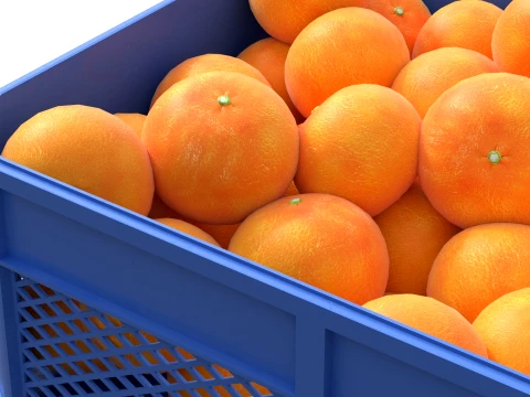 Grapefruit Plastic Crate 3D Model