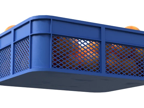 Grapefruit Plastic Crate 3D Model