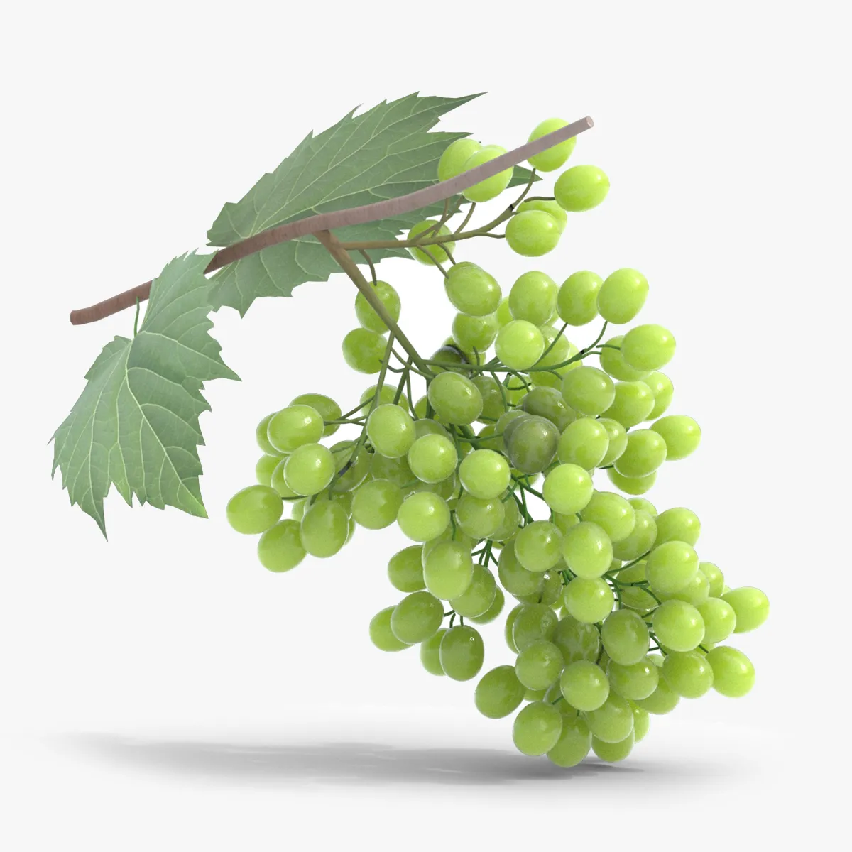 Grapes Green 3D Model .c4d .max .obj .3ds .fbx .stl .blend 