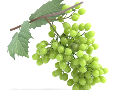 Grapes Green 3D Model