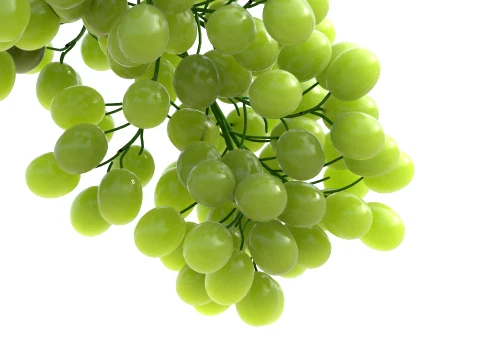 Grapes Green 3D Model