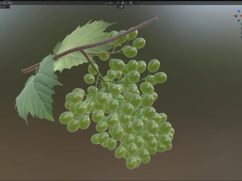 Grapes Green 3D Model