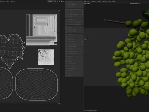 Grapes Green 3D Model