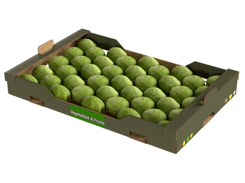 Guava Cardboard Fruit Box 3D Model