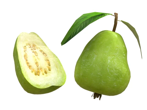 Guava Fruit 3D Model
