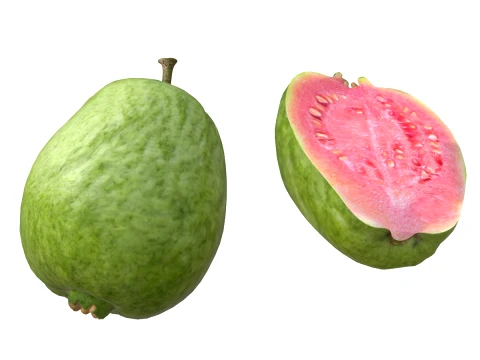Guava Fruit v2 3D Model