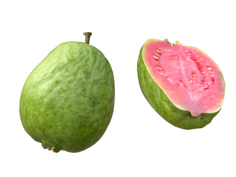 Guava Meyvesi v2 3D Model