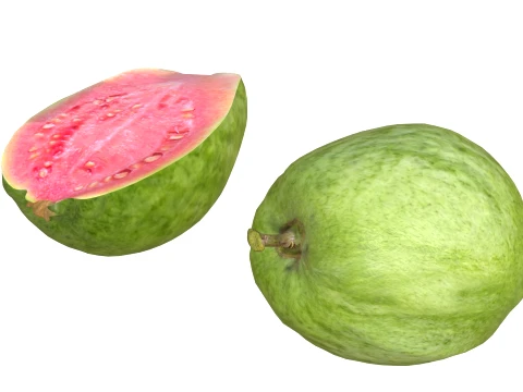 Guava Meyvesi v2 3D Model