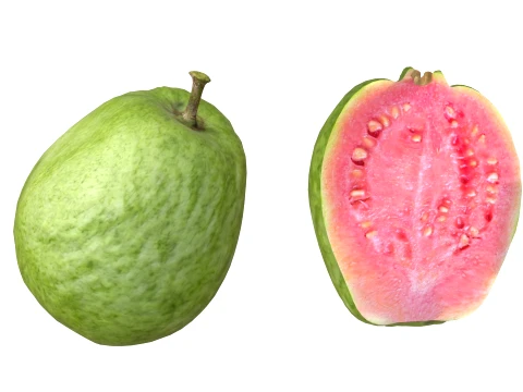 Guava Meyvesi v2 3D Model