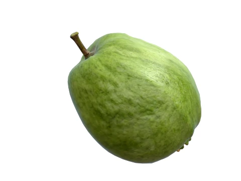 Guava Meyvesi v2 3D Model