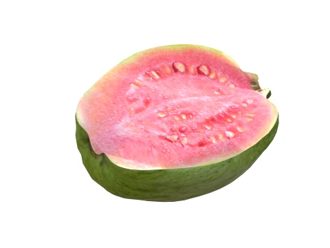 Guava Meyvesi v2 3D Model